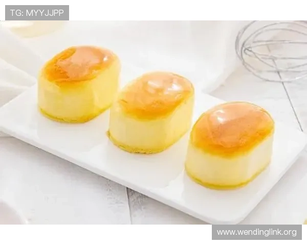 问鼎官网app下载，用户评价与使用体验全面分析